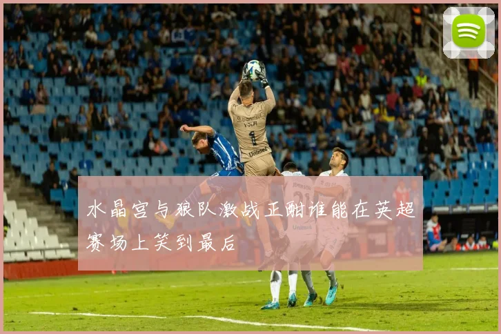 水晶宫与狼队激战正酣谁能在英超赛场上笑到最后